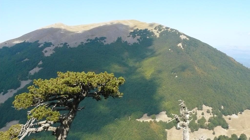 Il Belvedere Чівіта Екстер'єр фото